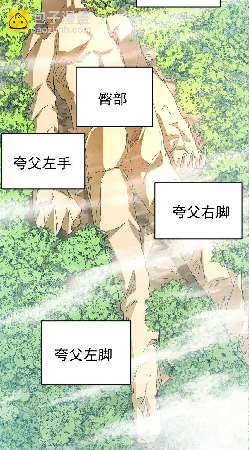 77 凤凰的突袭(1/2)-第85话