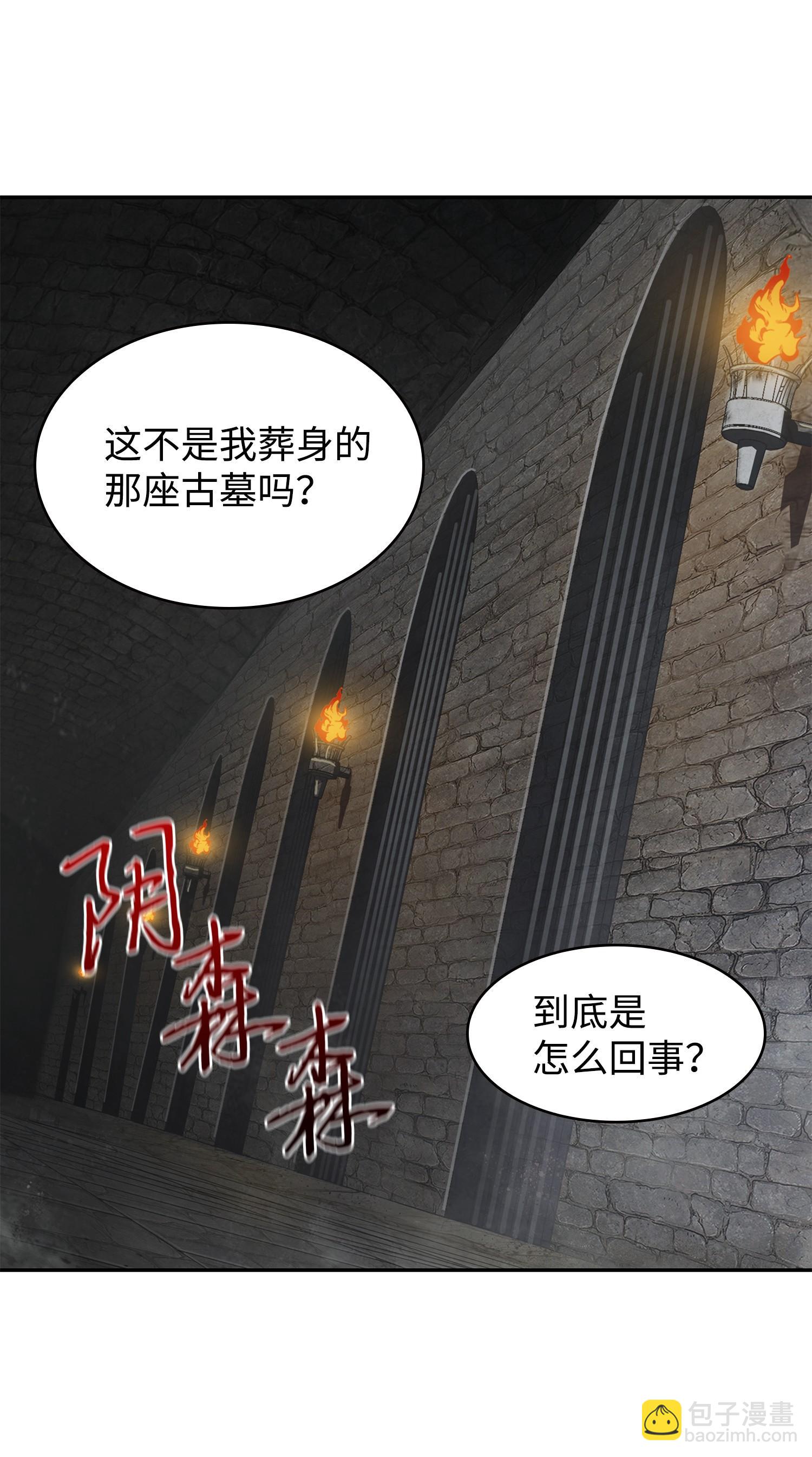 我獨自盜墓 - 244 烏鴉(2/2) - 4