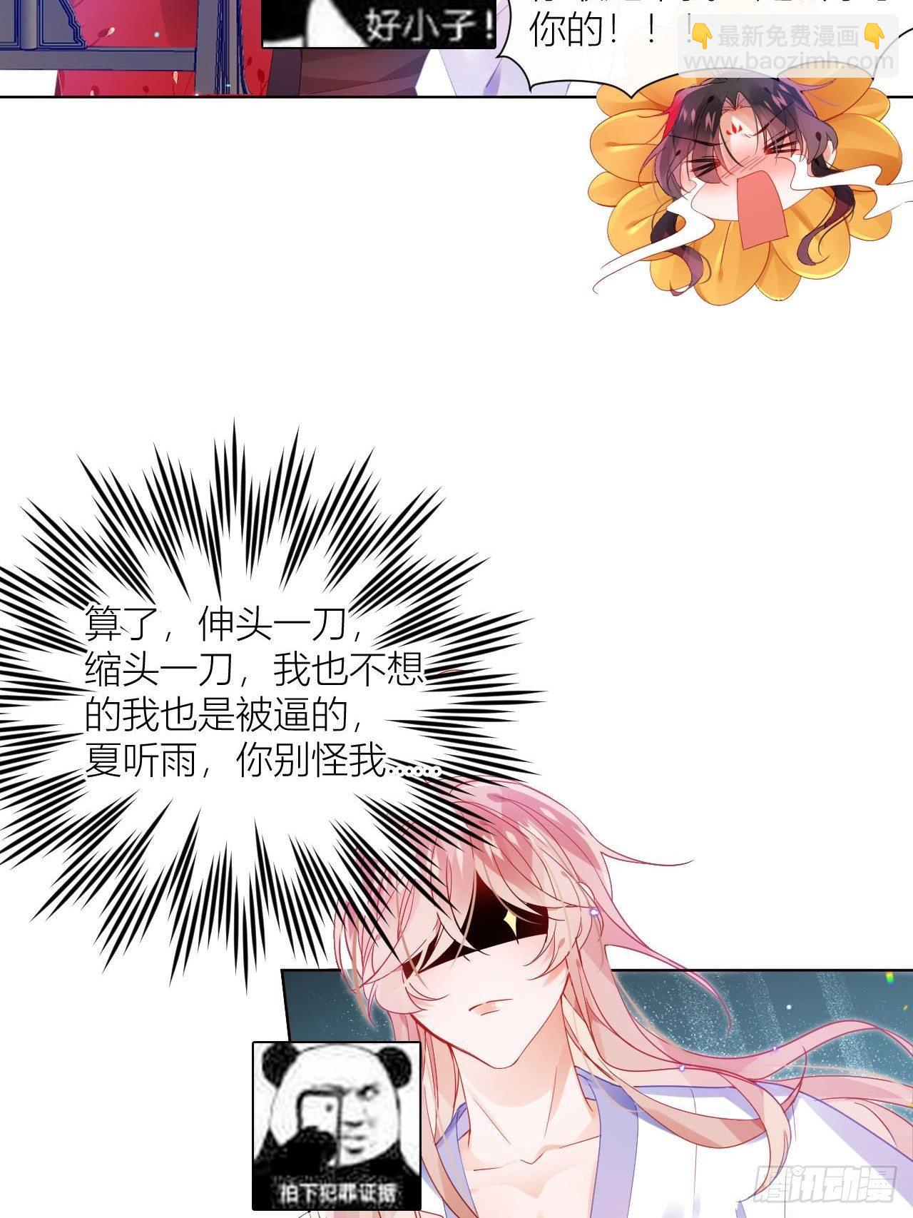 邀君一同赏夏菊！-第17话