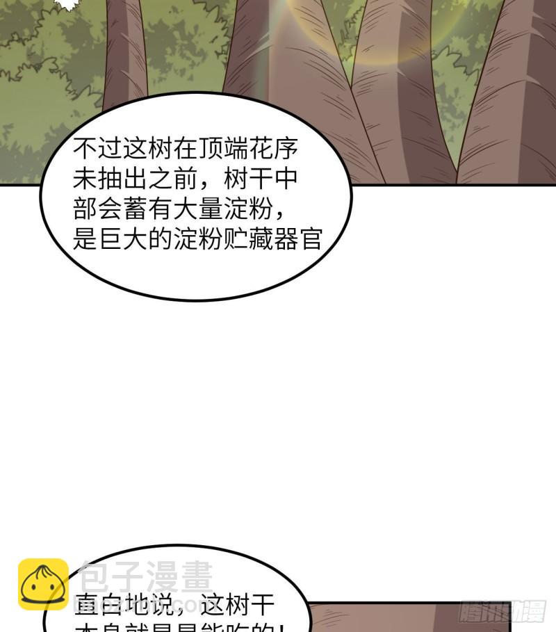 我和妹子們的荒島餘生 - 159 能吃的樹(1/2) - 8