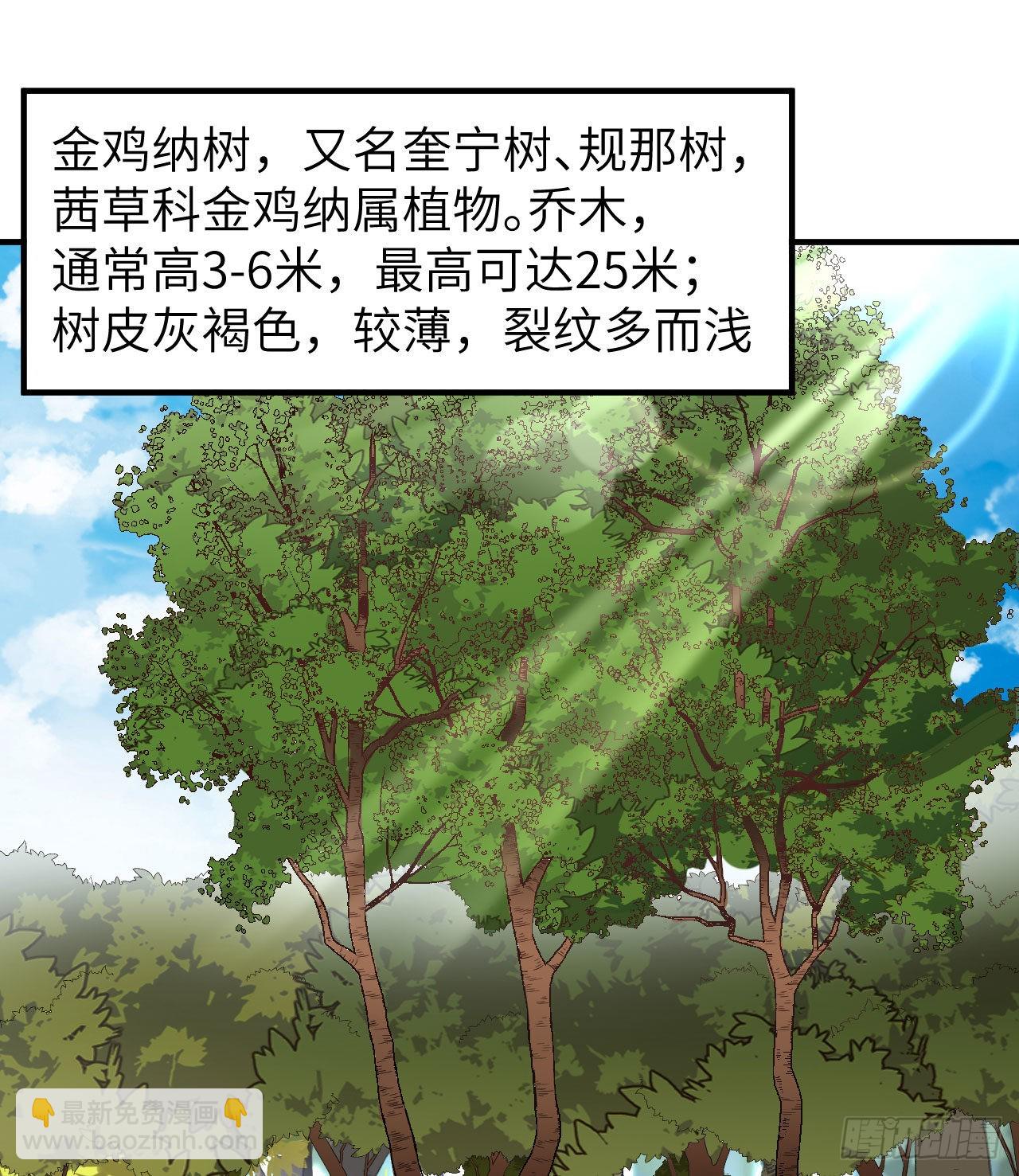 我和妹子們的荒島餘生 - 185 爭分奪秒(1/2) - 8