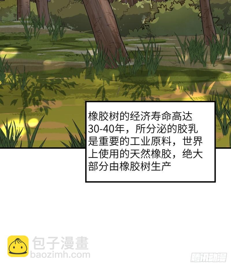 我和妹子們的荒島餘生 - 189 製作橡膠(1/2) - 8