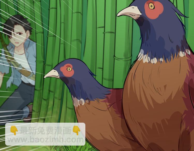 我和妹子們的荒島餘生 - 第26話 雞界傻狍子(2/3) - 1