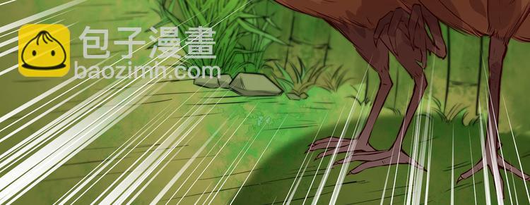 我和妹子們的荒島餘生 - 第26話 雞界傻狍子(2/3) - 2