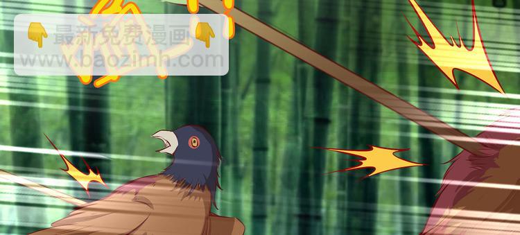 我和妹子們的荒島餘生 - 第26話 雞界傻狍子(2/3) - 4