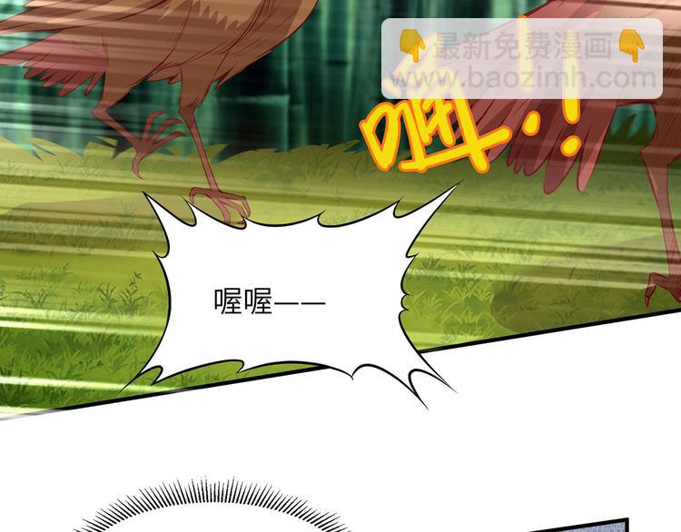 我和妹子們的荒島餘生 - 第26話 雞界傻狍子(2/3) - 5