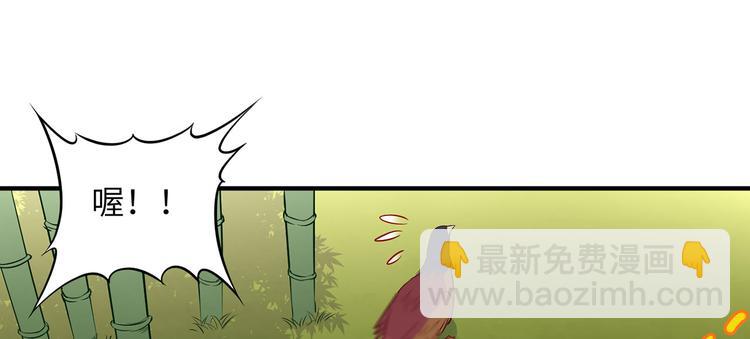 我和妹子們的荒島餘生 - 第26話 雞界傻狍子(2/3) - 2