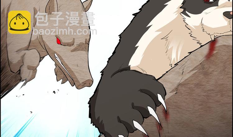 我和妹子們的荒島餘生 - 第40話 熊豬鬥(2/2) - 6