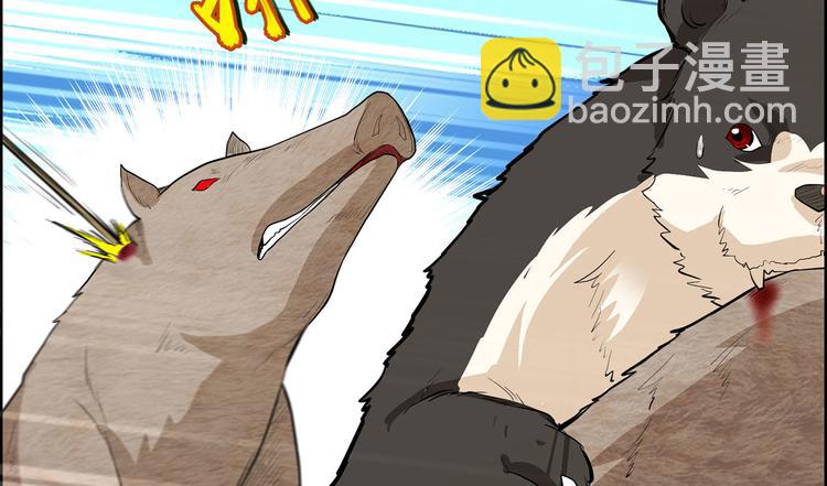 我和妹子們的荒島餘生 - 第40話 熊豬鬥(2/2) - 1