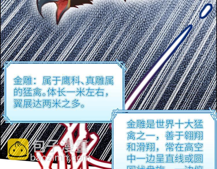 我和妹子們的荒島餘生 - 第46話 天降金雕(2/2) - 5