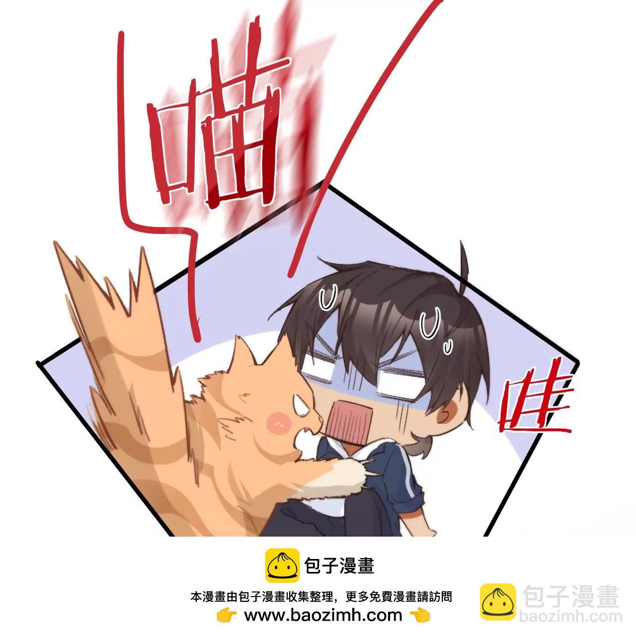 第13话 真相只有一个(1/2)-第15话