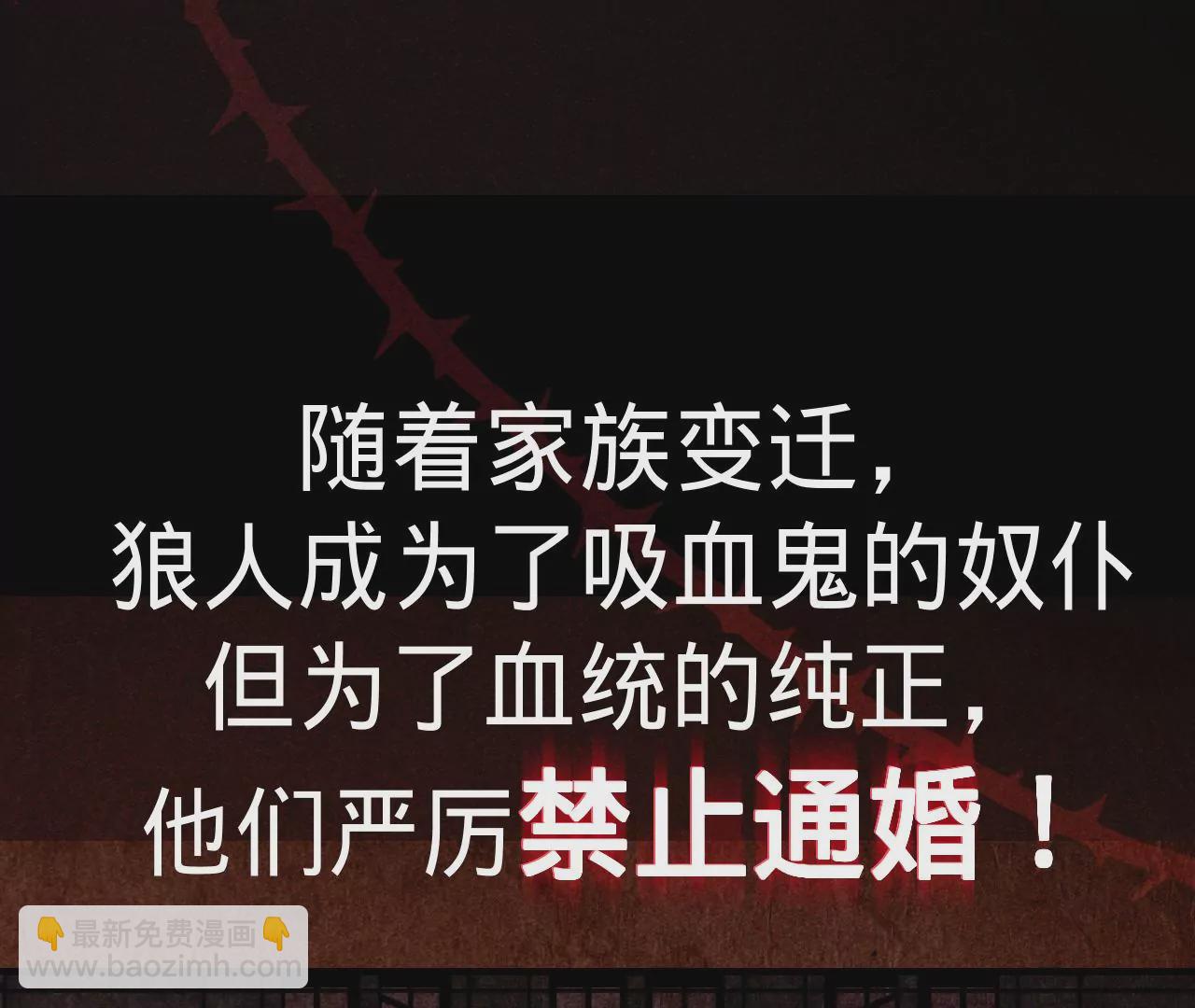 第19话 命运的相遇(1/3)-第21话