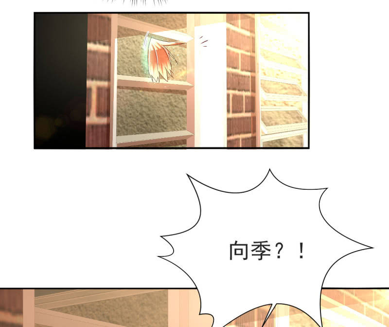 第20话(1/2)-第23话