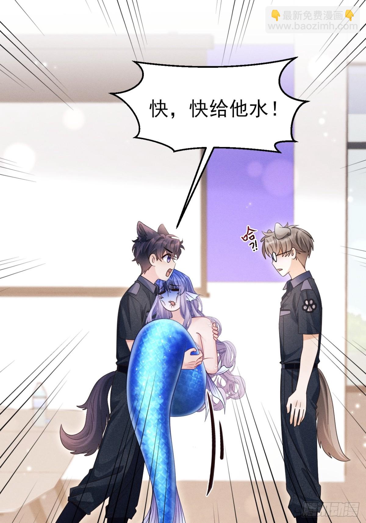 小人鱼历险记（下）(1/2)-第167话