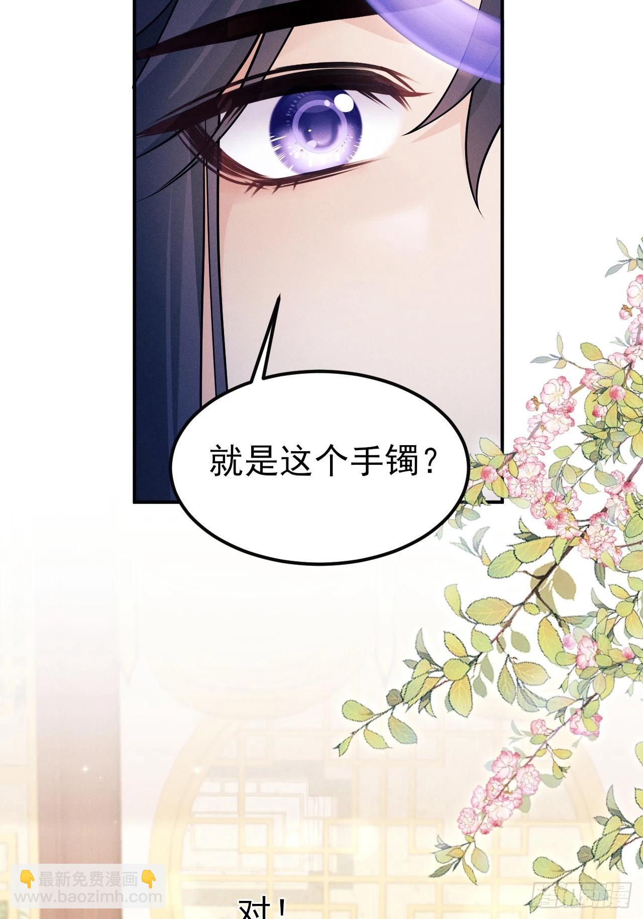 163.手镯的奥秘(1/2)-第171话