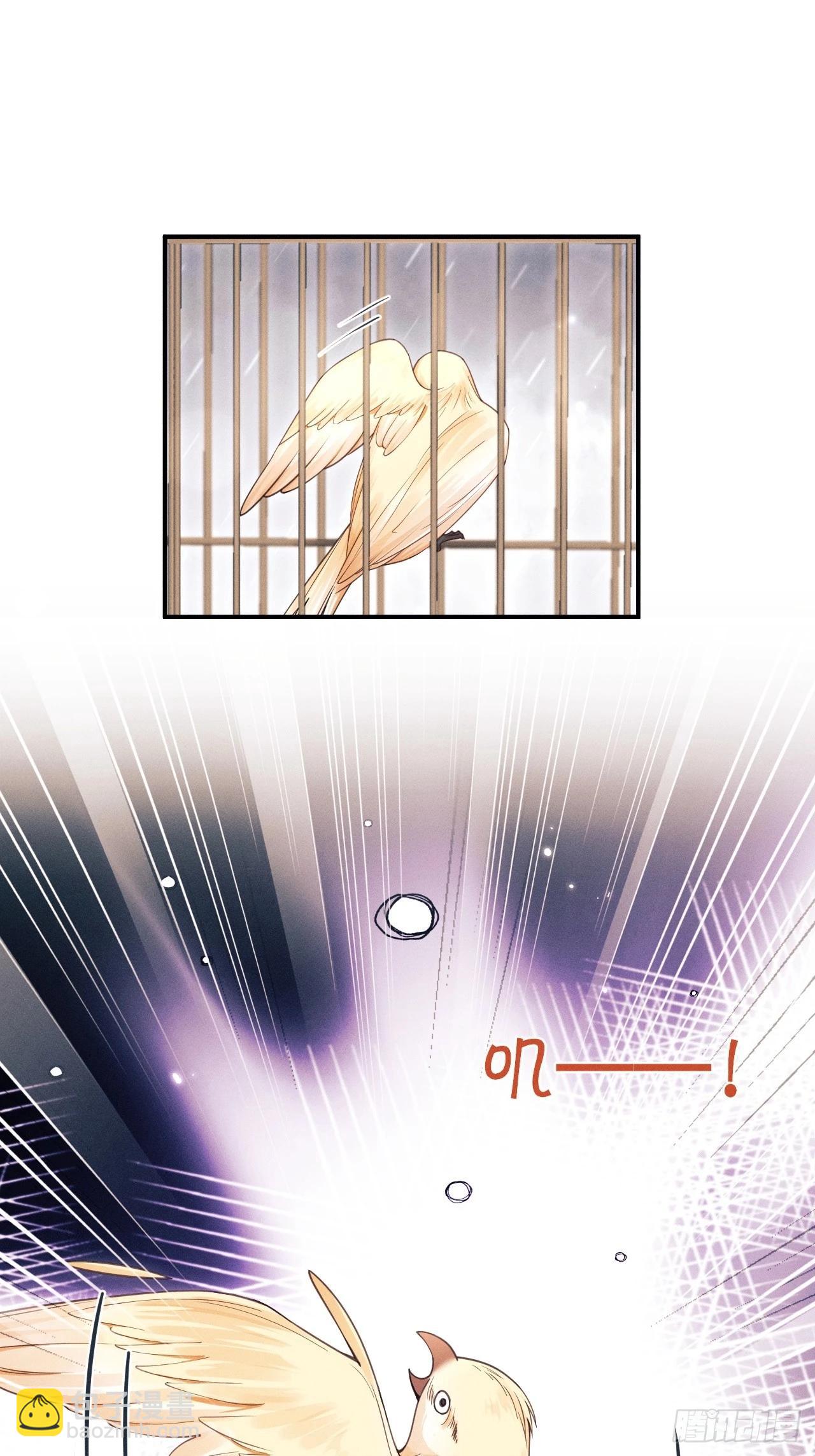 167.赠鸟(1/2)-第175话