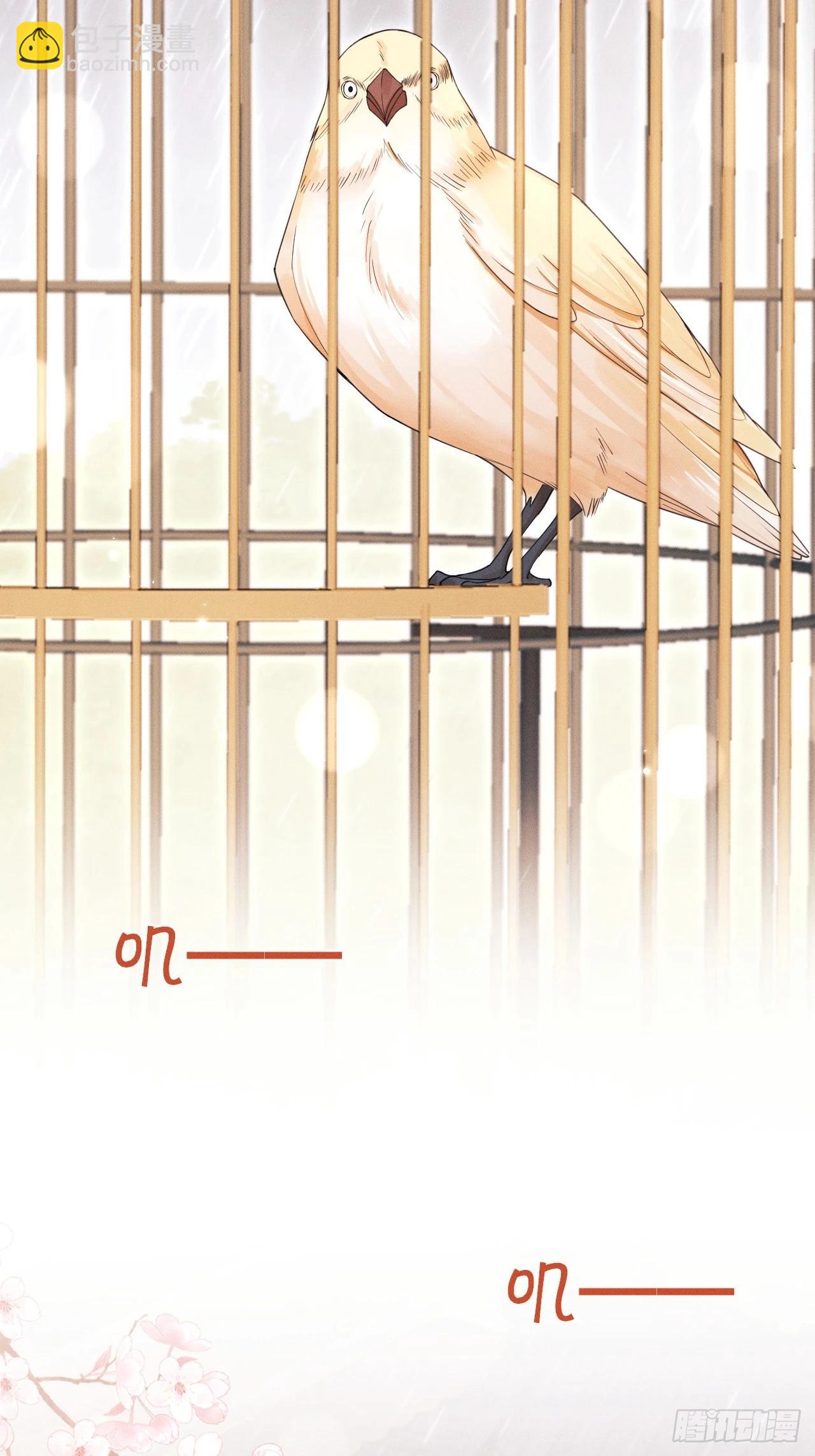 167.赠鸟(1/2)-第175话