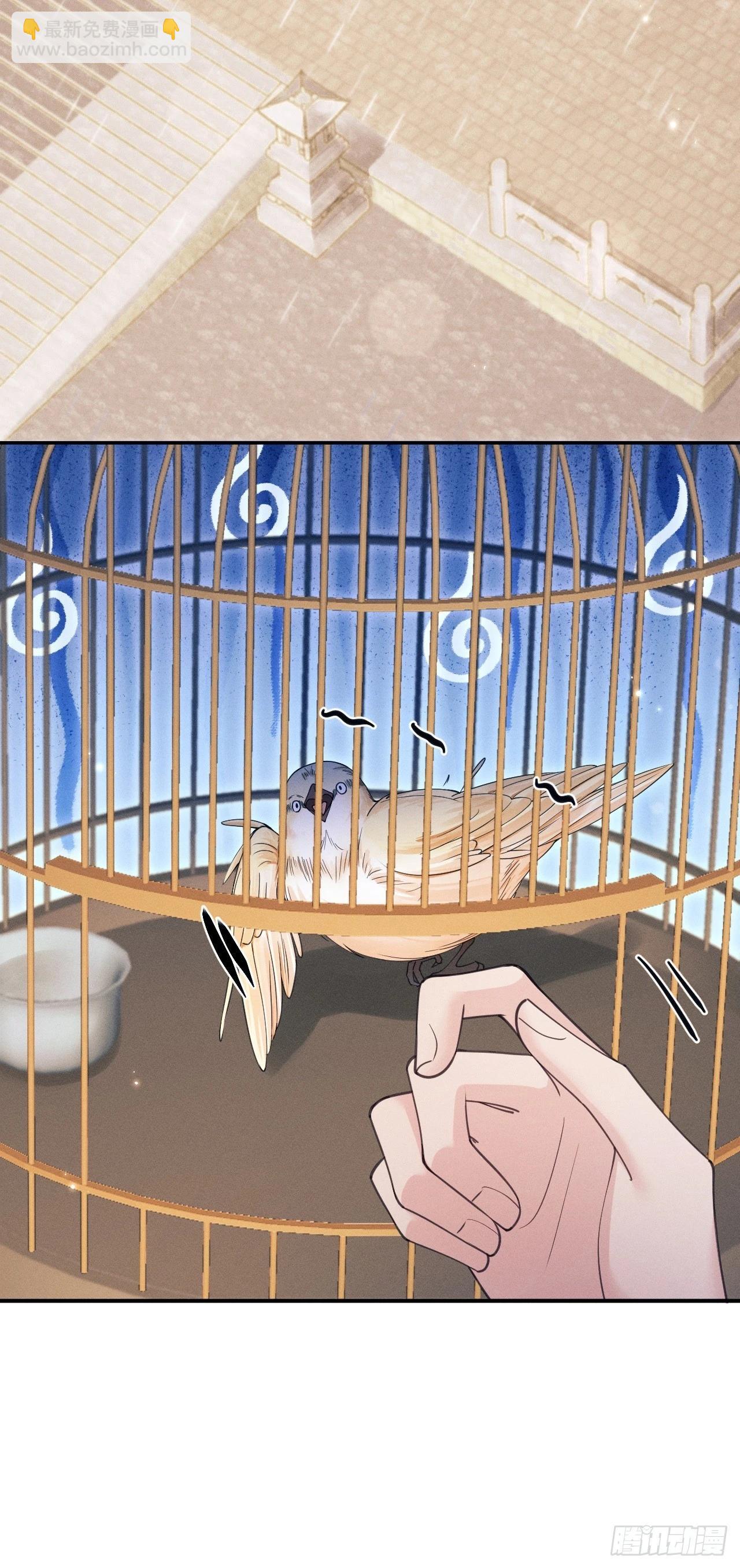 167.赠鸟(1/2)-第175话