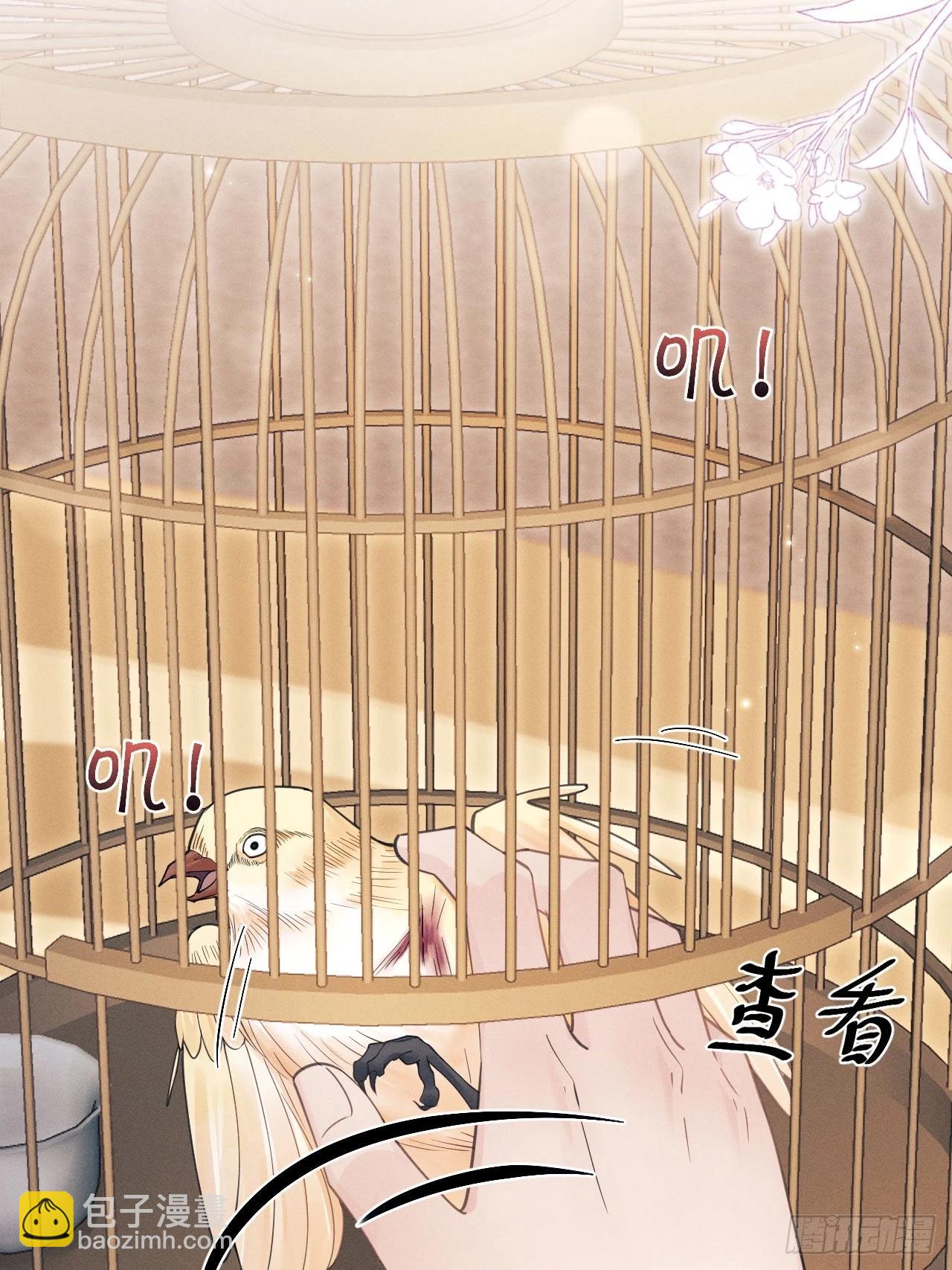 167.赠鸟(1/2)-第175话