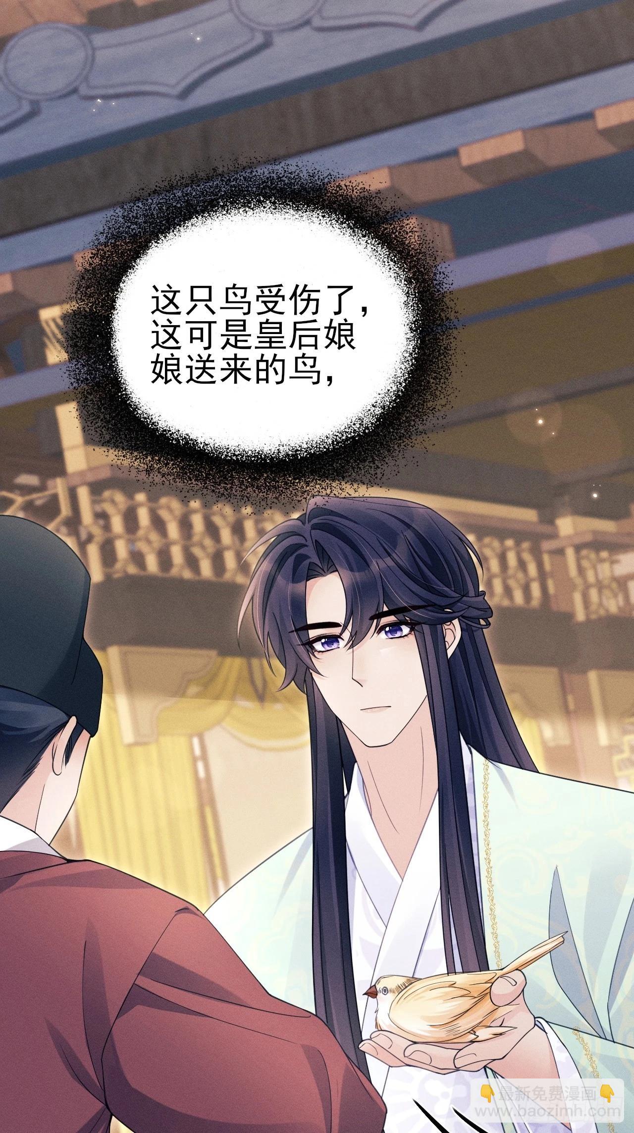 167.赠鸟(1/2)-第175话