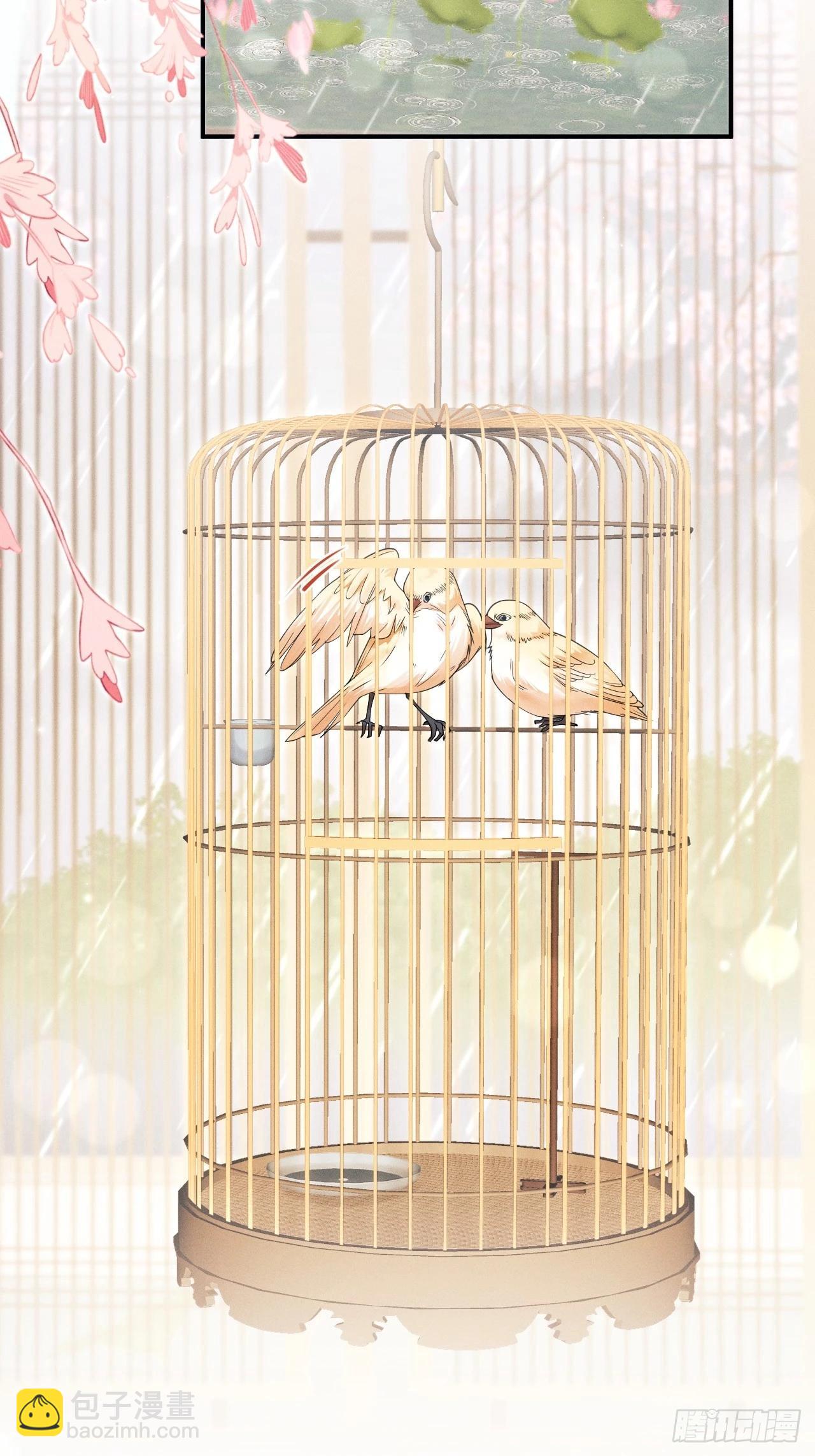 167.赠鸟(1/2)-第175话