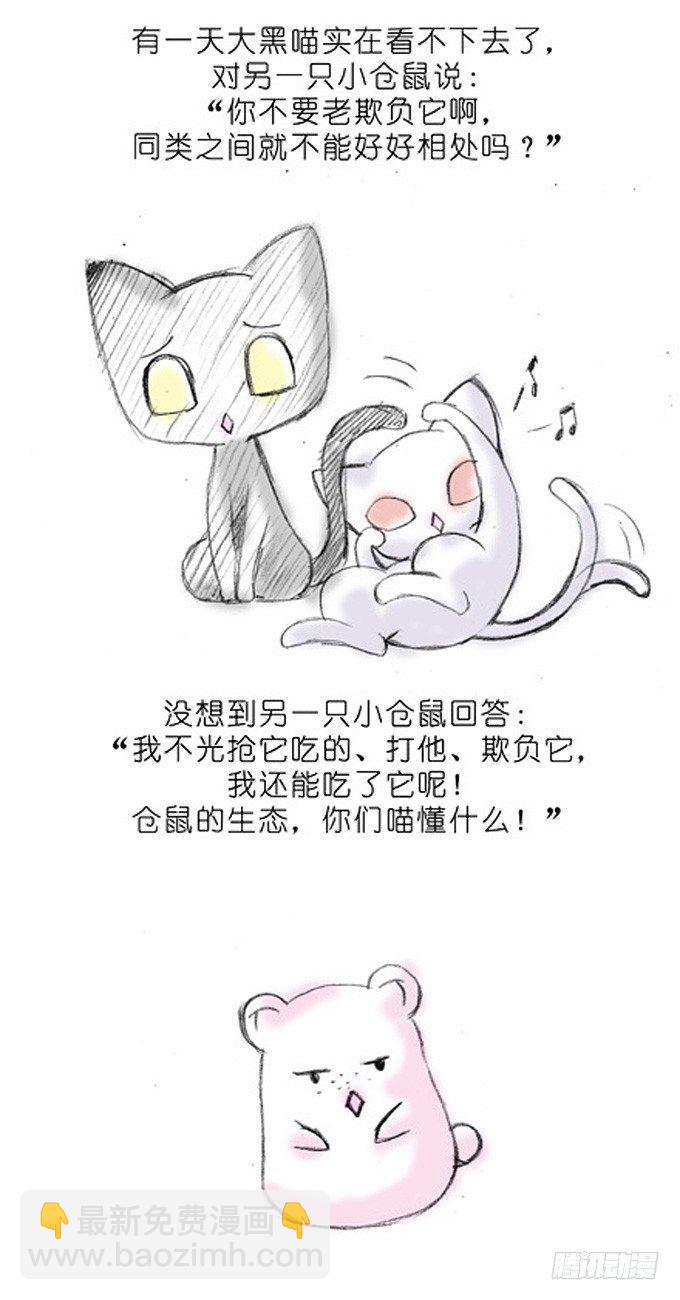 我家大師兄腦子有坑 - 番外：飛星喵3.你們喵不懂 - 1