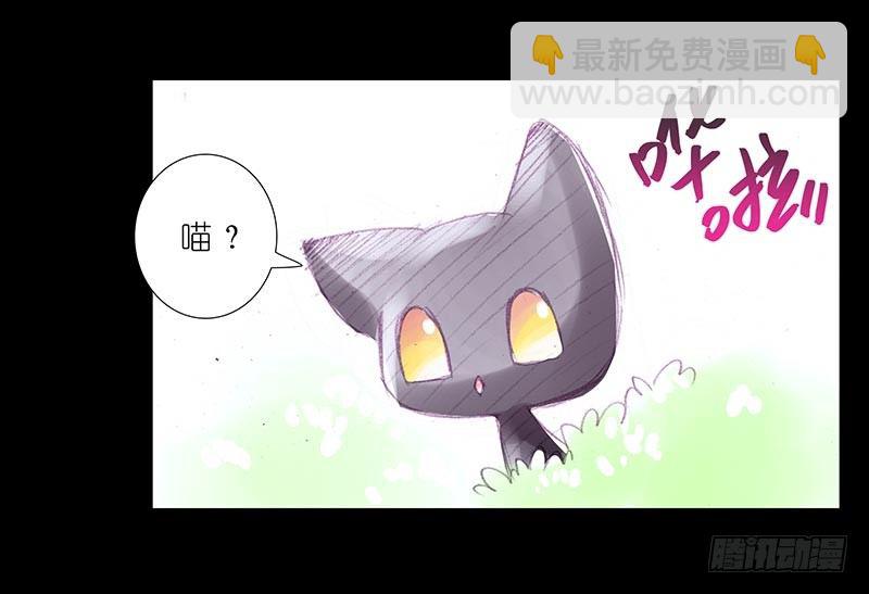 我家大師兄腦子有坑 - 番外：忽然養只貓3 - 3