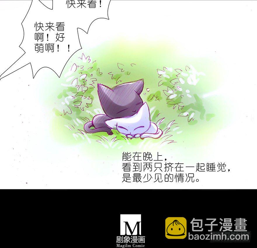 我家大師兄腦子有坑 - 番外：忽然養只貓 六 - 1