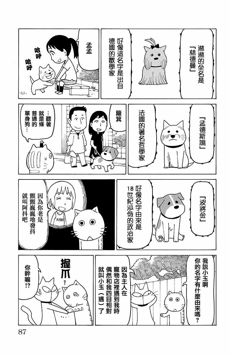 我家的街貓 - 第366話 - 1