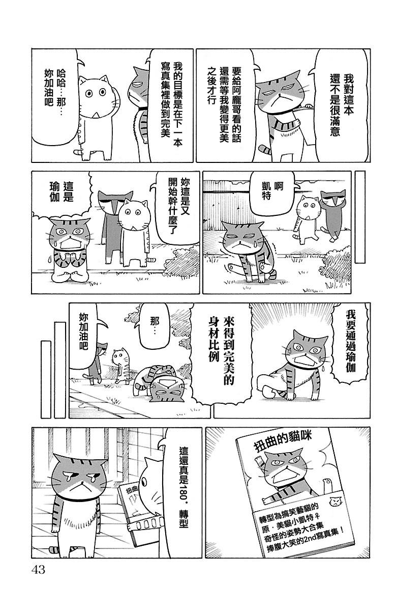 我家的街貓 - 第410話 - 1