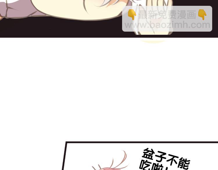 第4话 遛狗大作战(1/2)-第5话