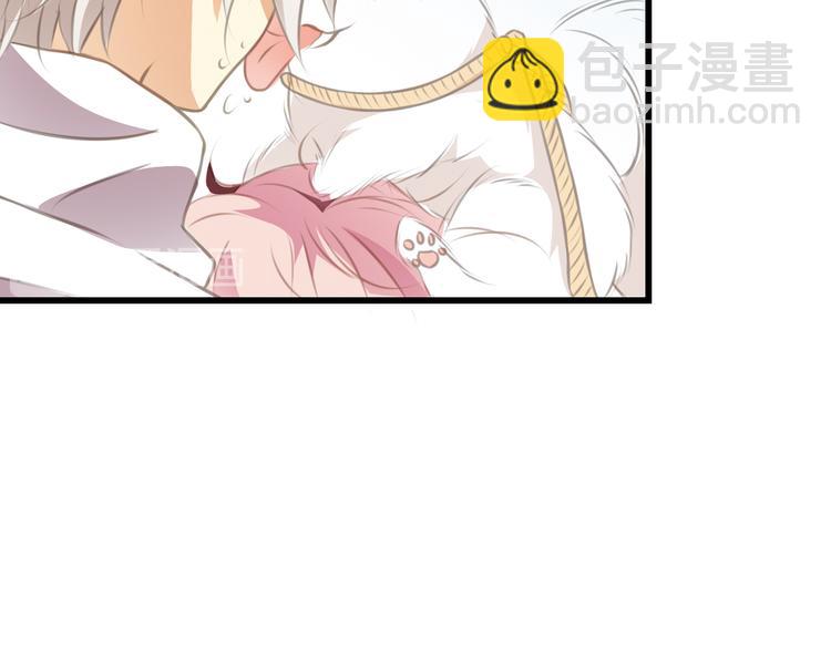 第4话 遛狗大作战(1/2)-第5话