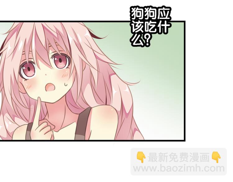 第4话 遛狗大作战(1/2)-第5话