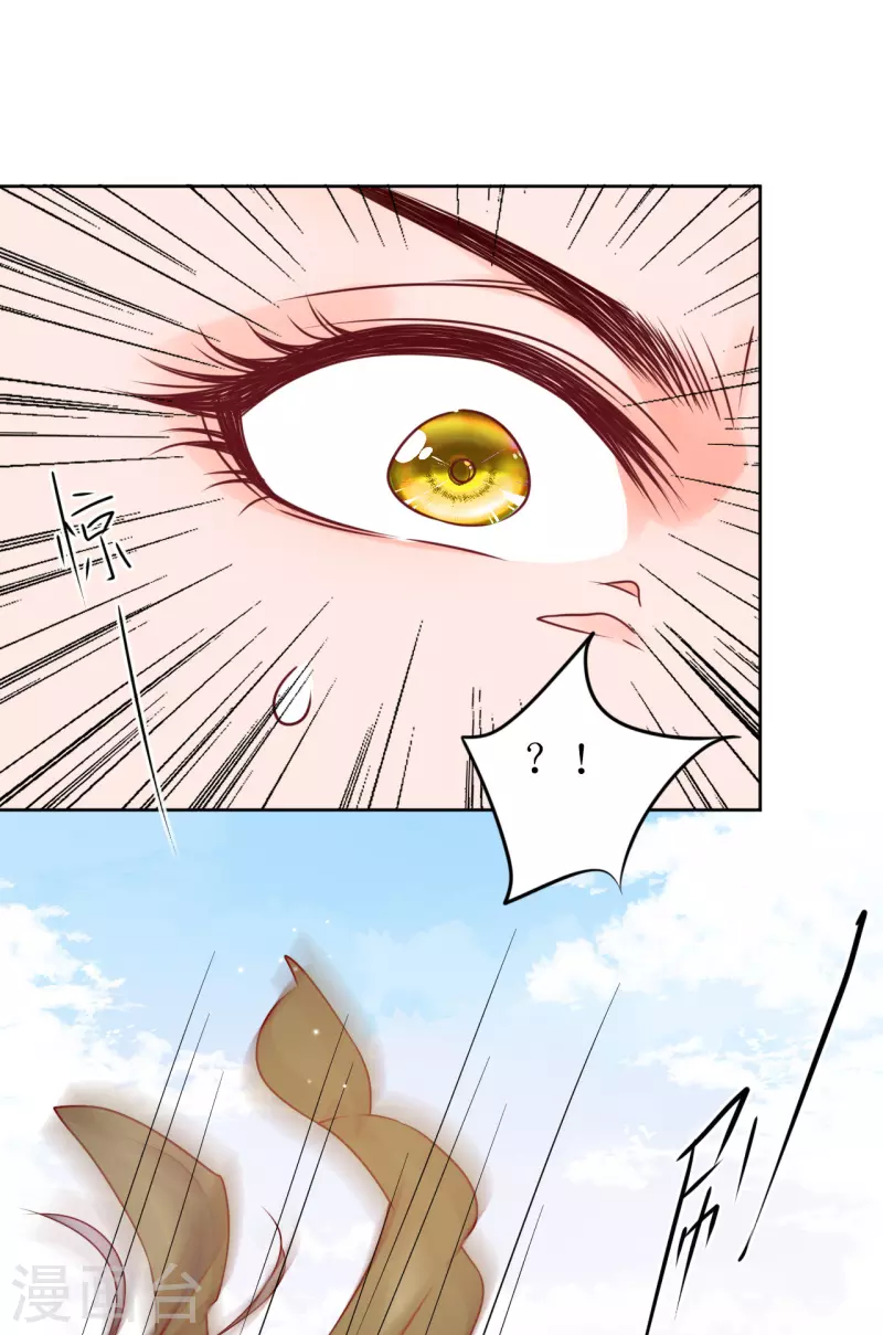 第26话 跌进他怀里-第27话