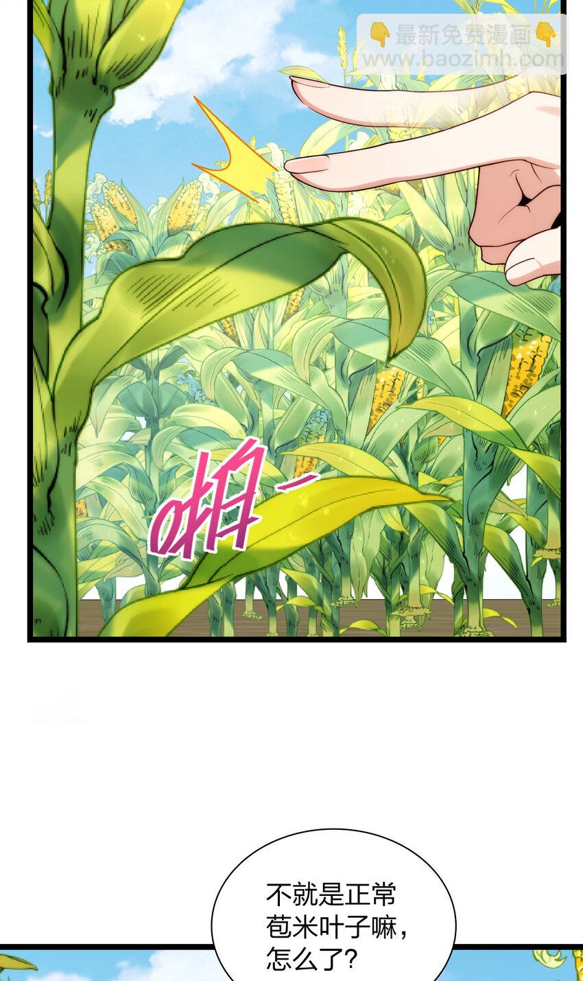 206 206(1/2)-第209话