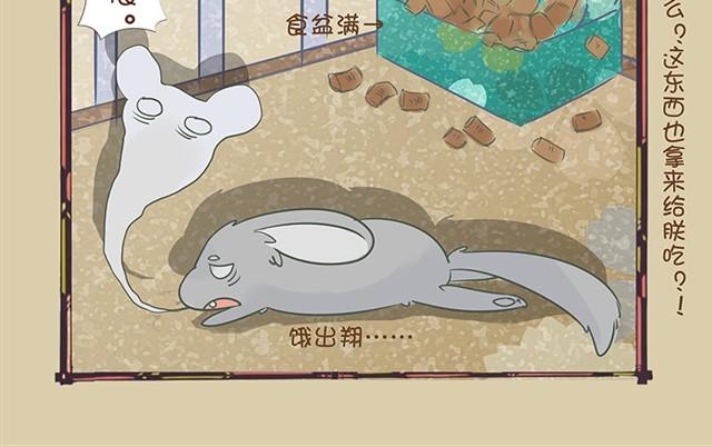 我家龍貓二三事 - 第3話 均衡飲食 - 4