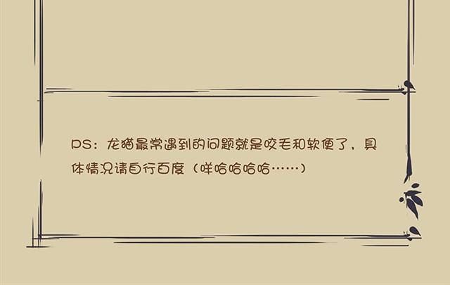 我家龍貓二三事 - 第3話 均衡飲食 - 6