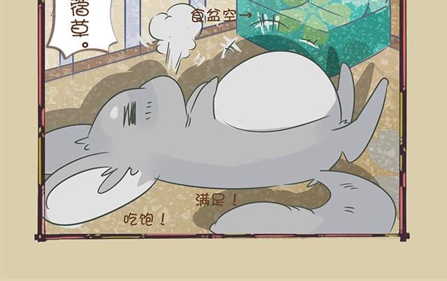 我家龍貓二三事 - 第3話 均衡飲食 - 2