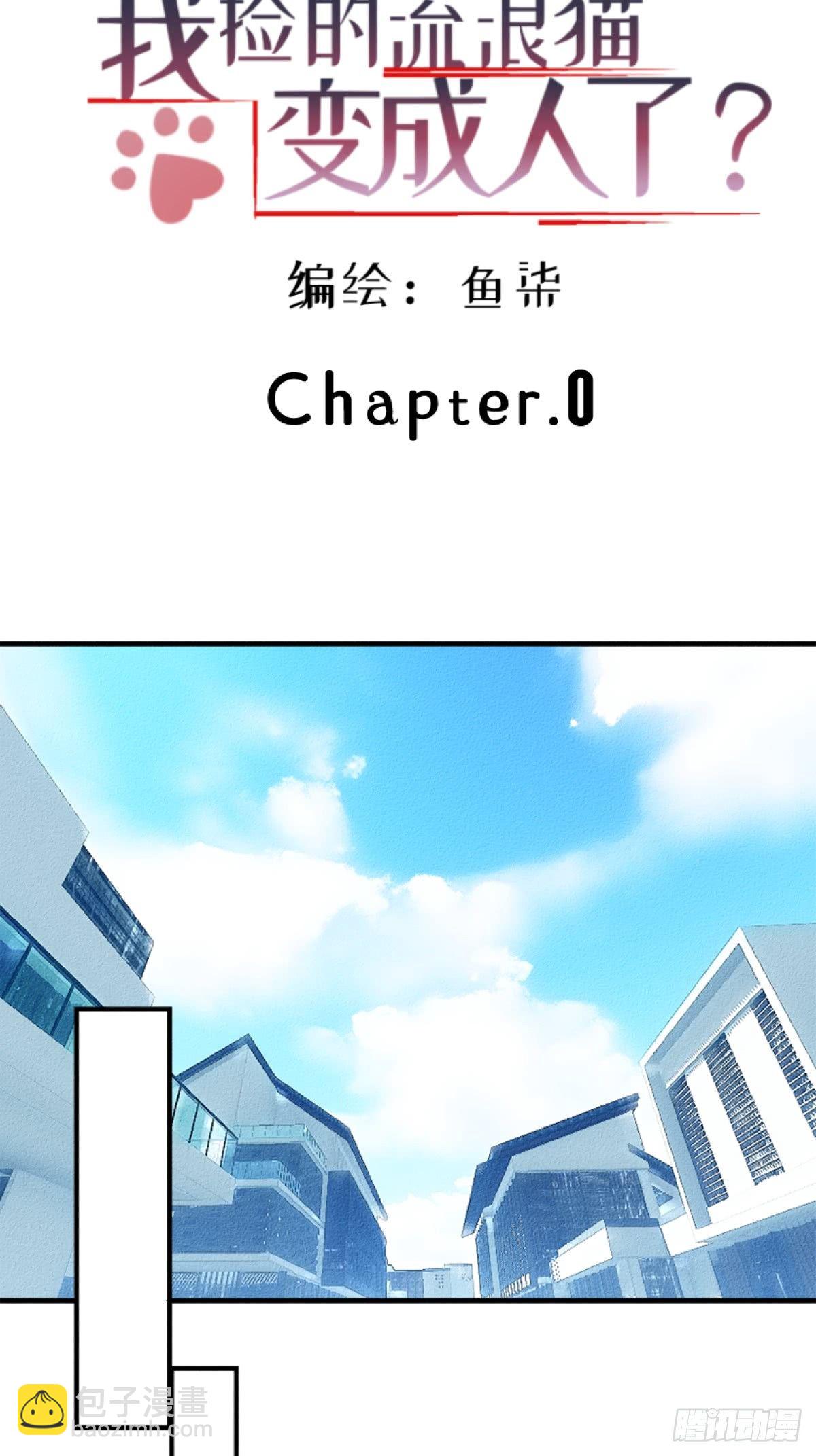 我捡的流浪猫变成人了？ - 0.一颗青柚 - 2