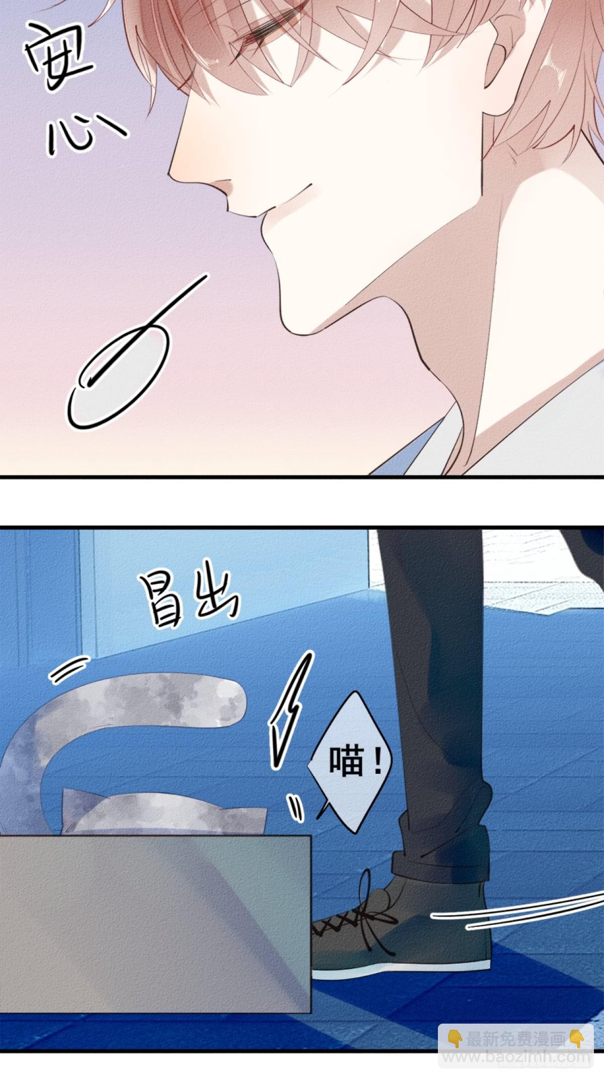 我捡的流浪猫变成人了？ - 0.一颗青柚 - 2