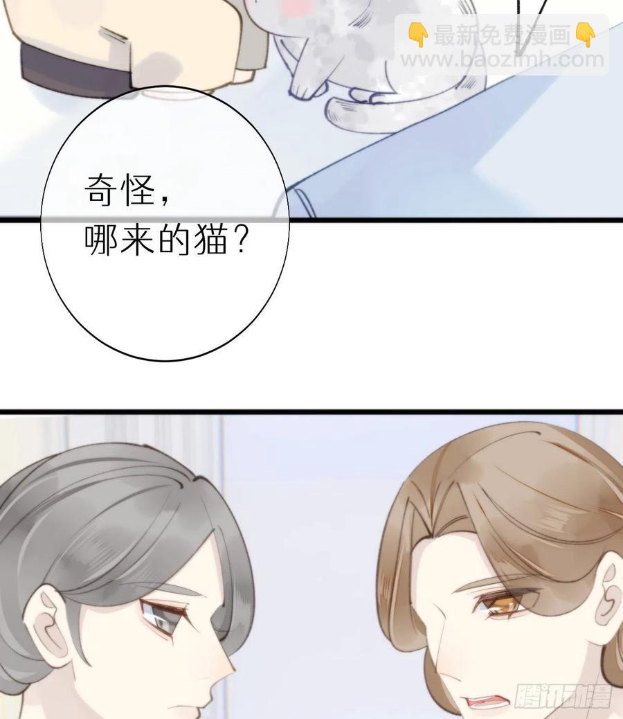 我捡的流浪猫变成人了？ - 94.转生(2/2) - 2