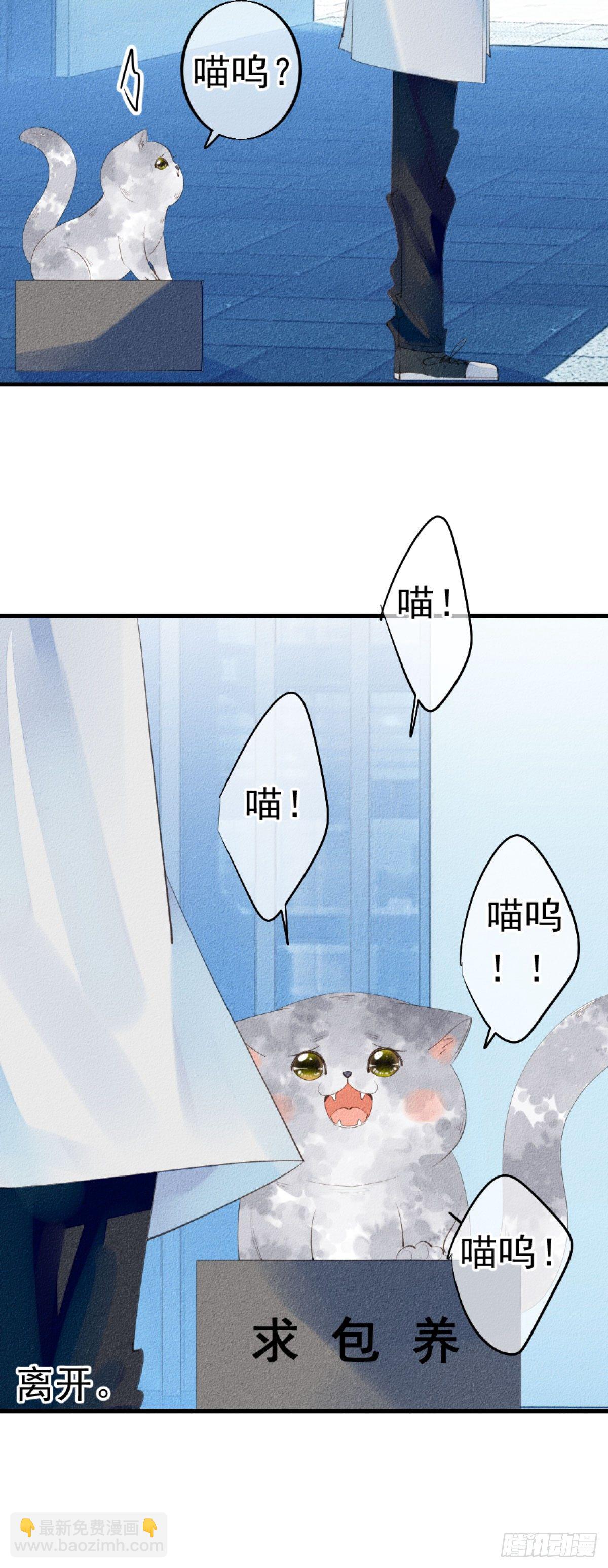 我捡的流浪猫变成人了？ - 2.人家根本没想把你捡回家去。 - 1