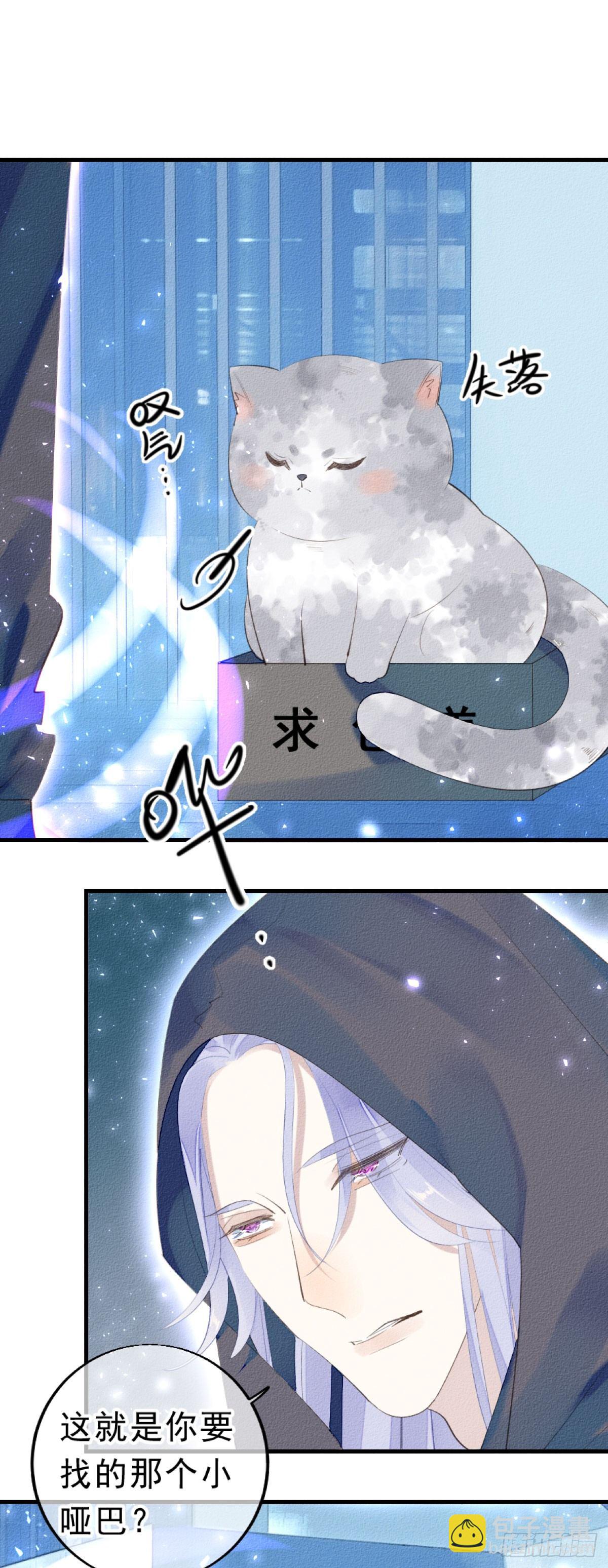 我捡的流浪猫变成人了？ - 2.人家根本没想把你捡回家去。 - 1