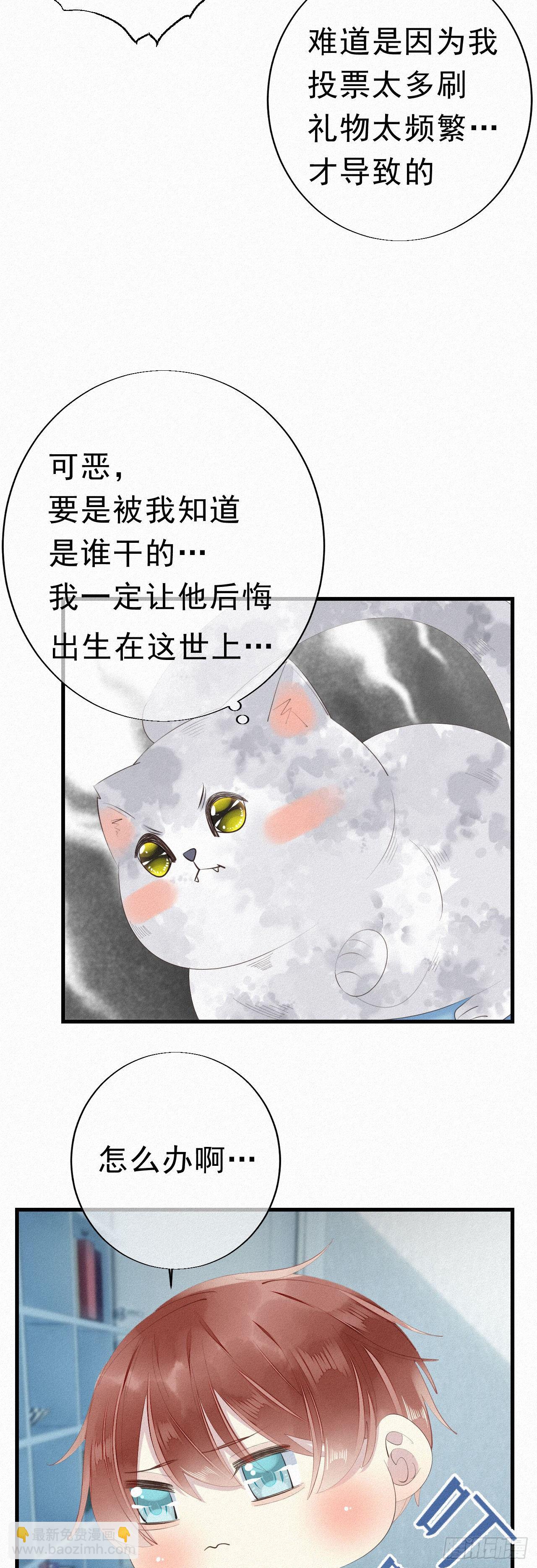 我捡的流浪猫变成人了？ - 25.取消资格 - 3