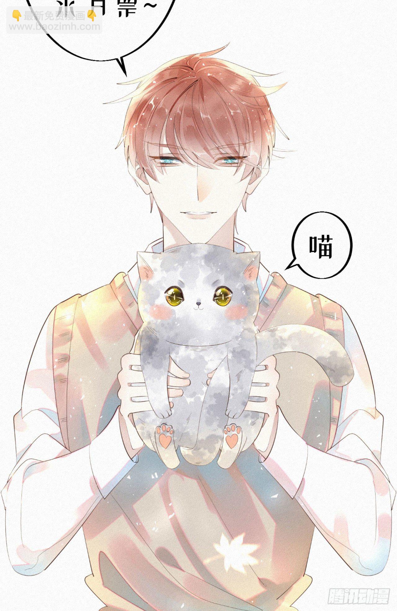 我捡的流浪猫变成人了？ - 32.上药(2/2) - 2