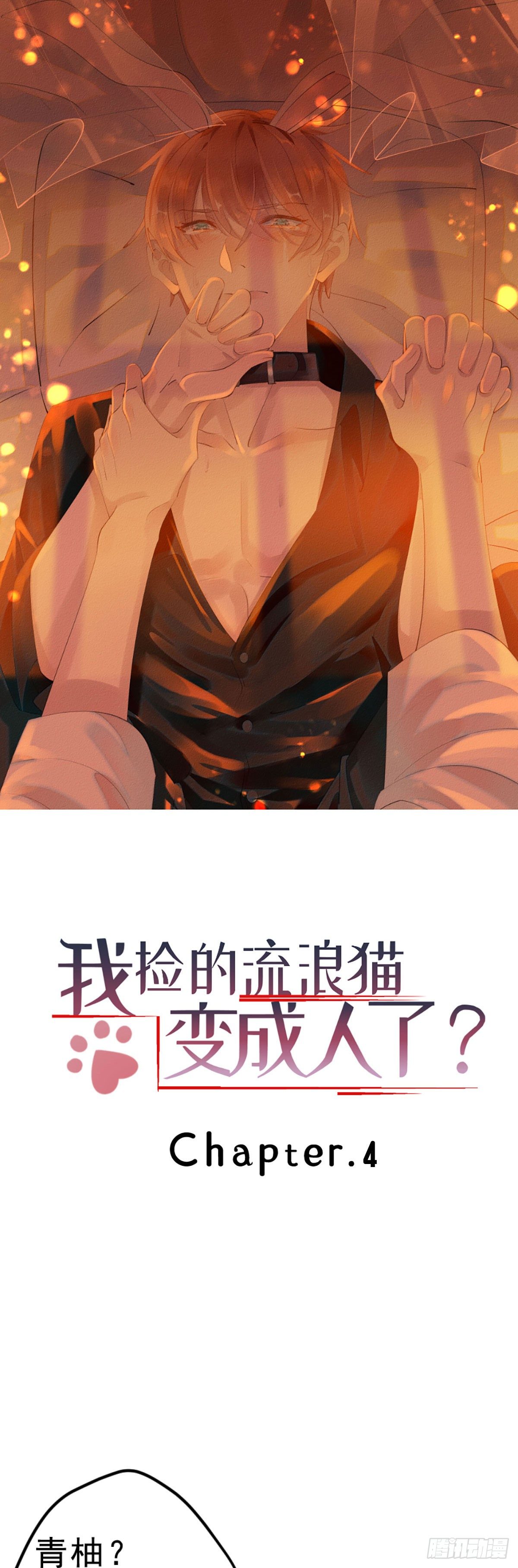 我捡的流浪猫变成人了？ - 4.别怕，很快就到家了！ - 1