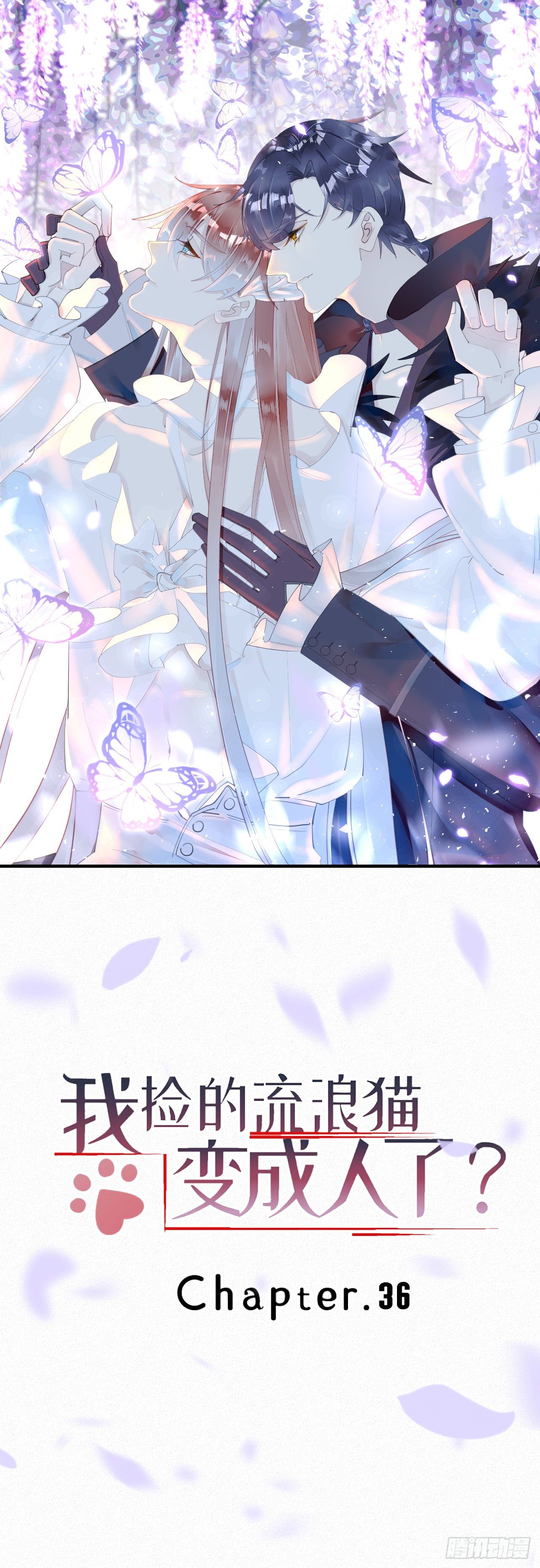 我捡的流浪猫变成人了？ - 36.面基会2 - 1