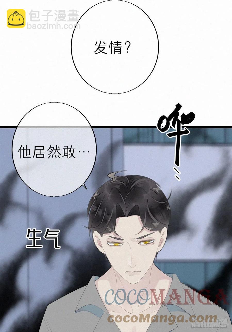 我捡的流浪猫变成人了？ - 54.快把我变回去 - 1