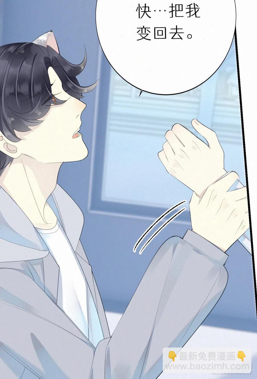 我捡的流浪猫变成人了？ - 54.快把我变回去 - 8