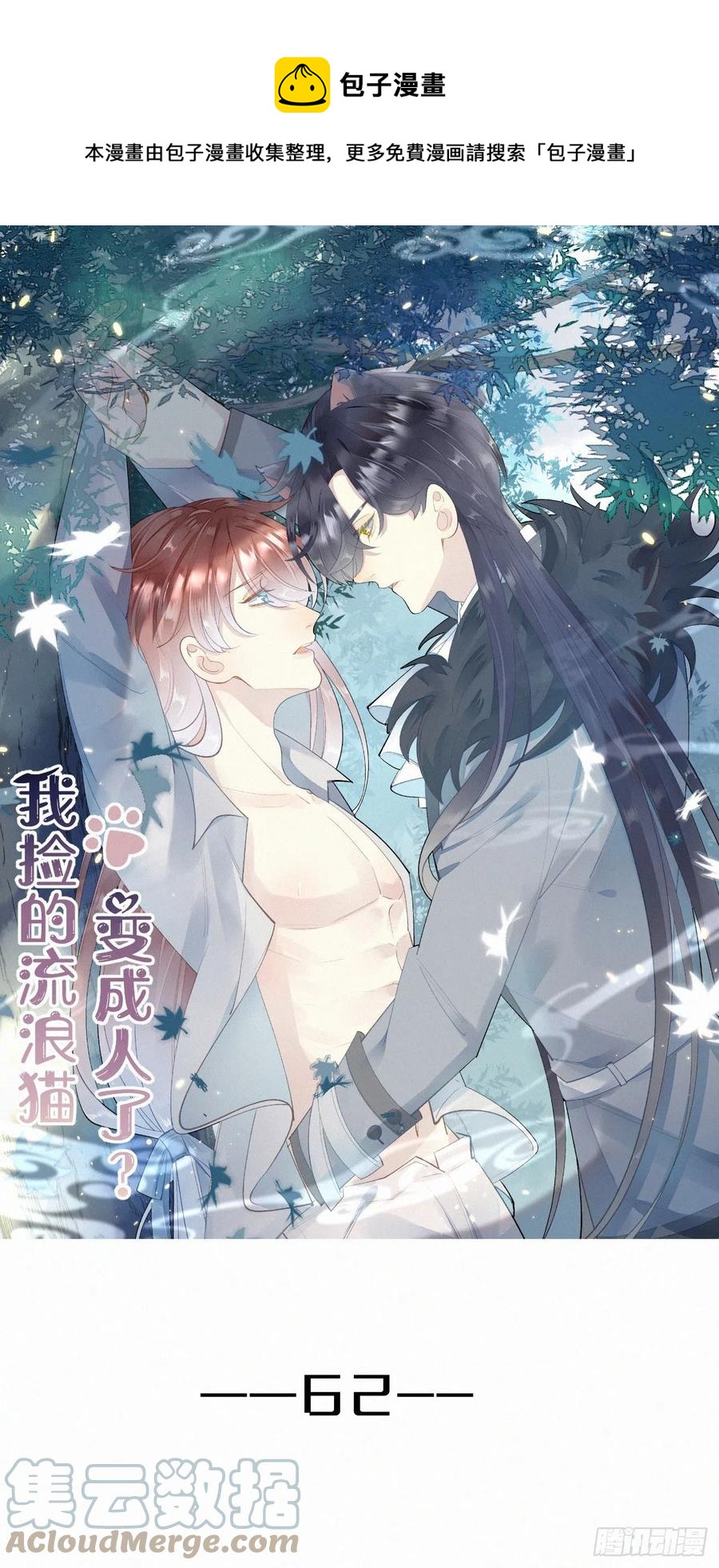 我捡的流浪猫变成人了？ - 62.暴风雨前的宁静 - 1